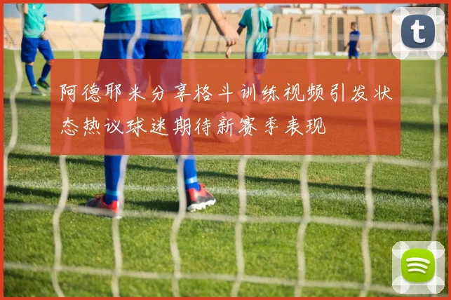 阿德耶米分享格斗训练视频引发状态热议球迷期待新赛季表现