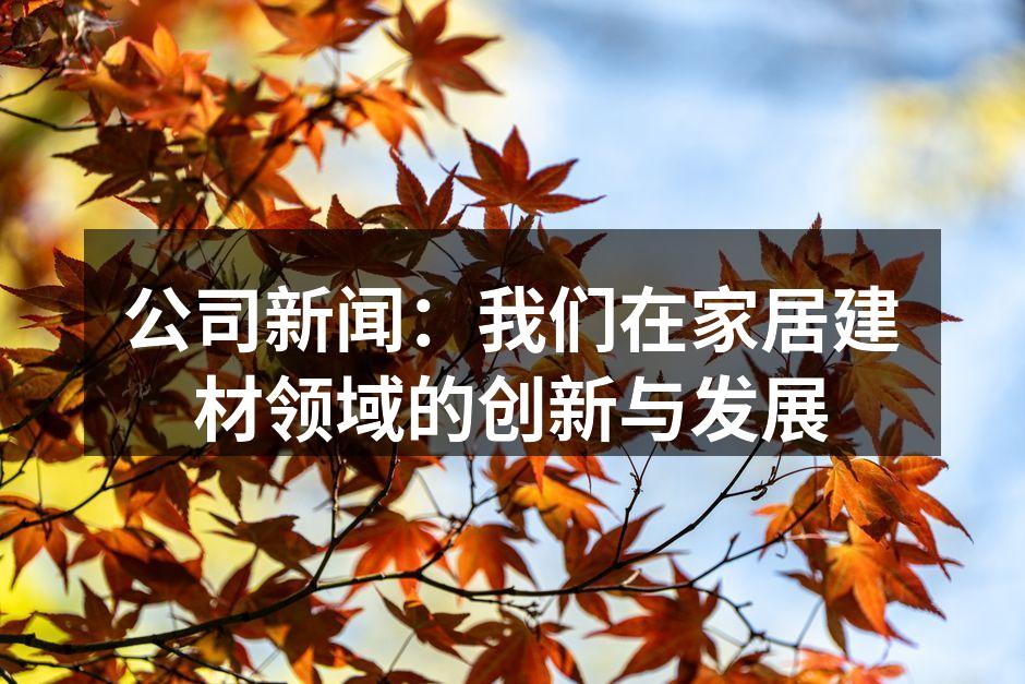 公司新闻：我们在家居建材领域的创新与发展